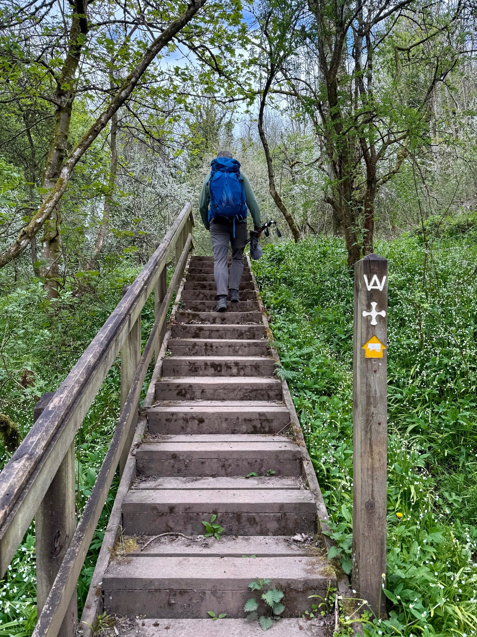 Saint Cuthbert's Way (Melrose to Kirk Yetholm)