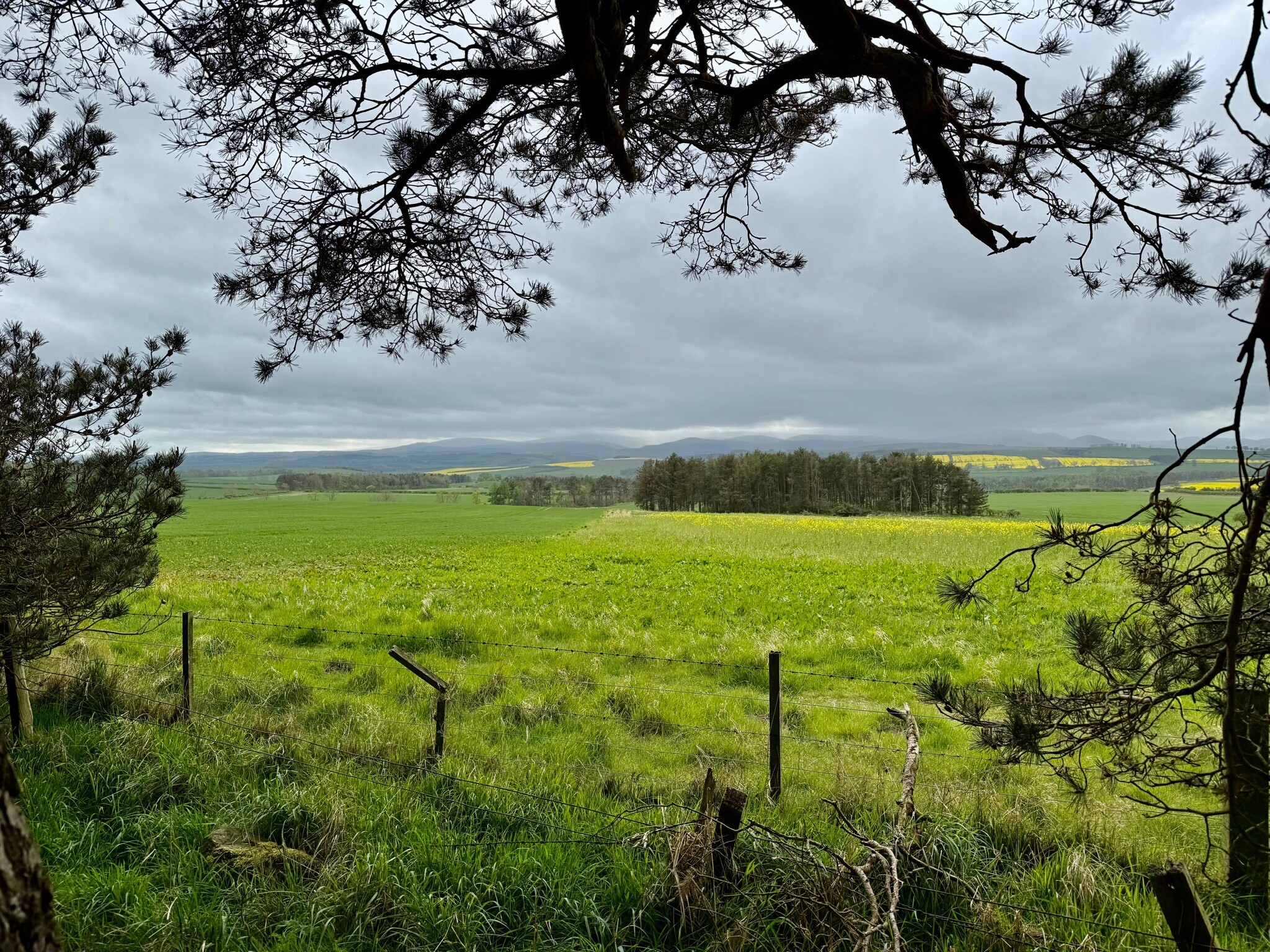 St. Cuthbertway: 4.Wooler-Fenwick
