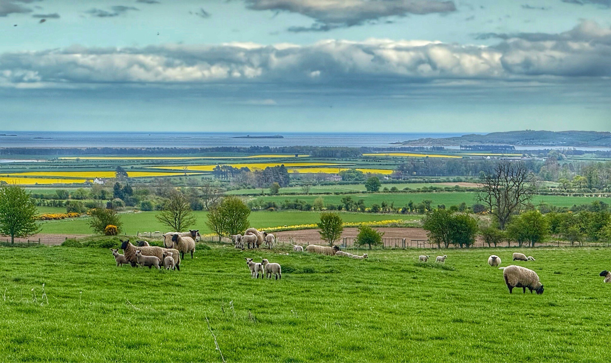 St. Cuthbertway: 4.Wooler-Fenwick