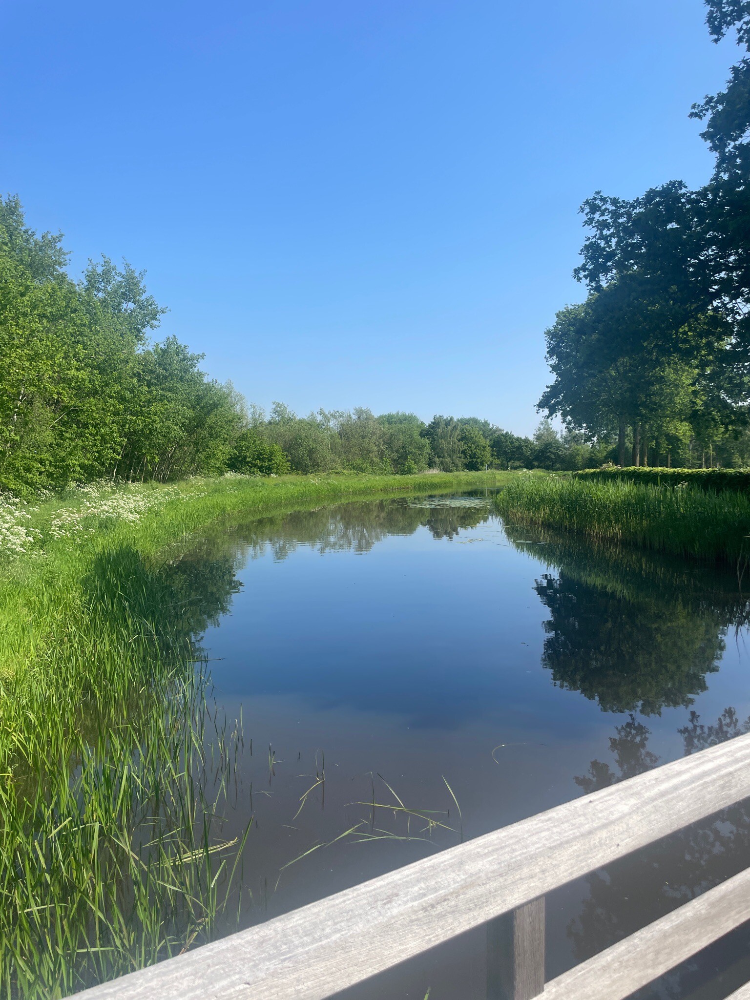 Wintelre - Oisterwijk · Camino Brabant etappe 7