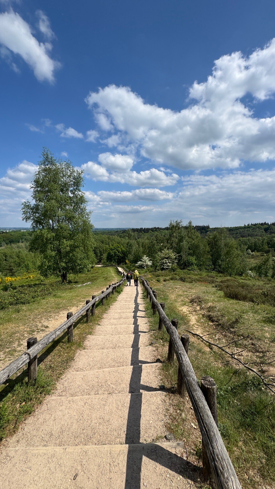 Dikkenberg wandelroute