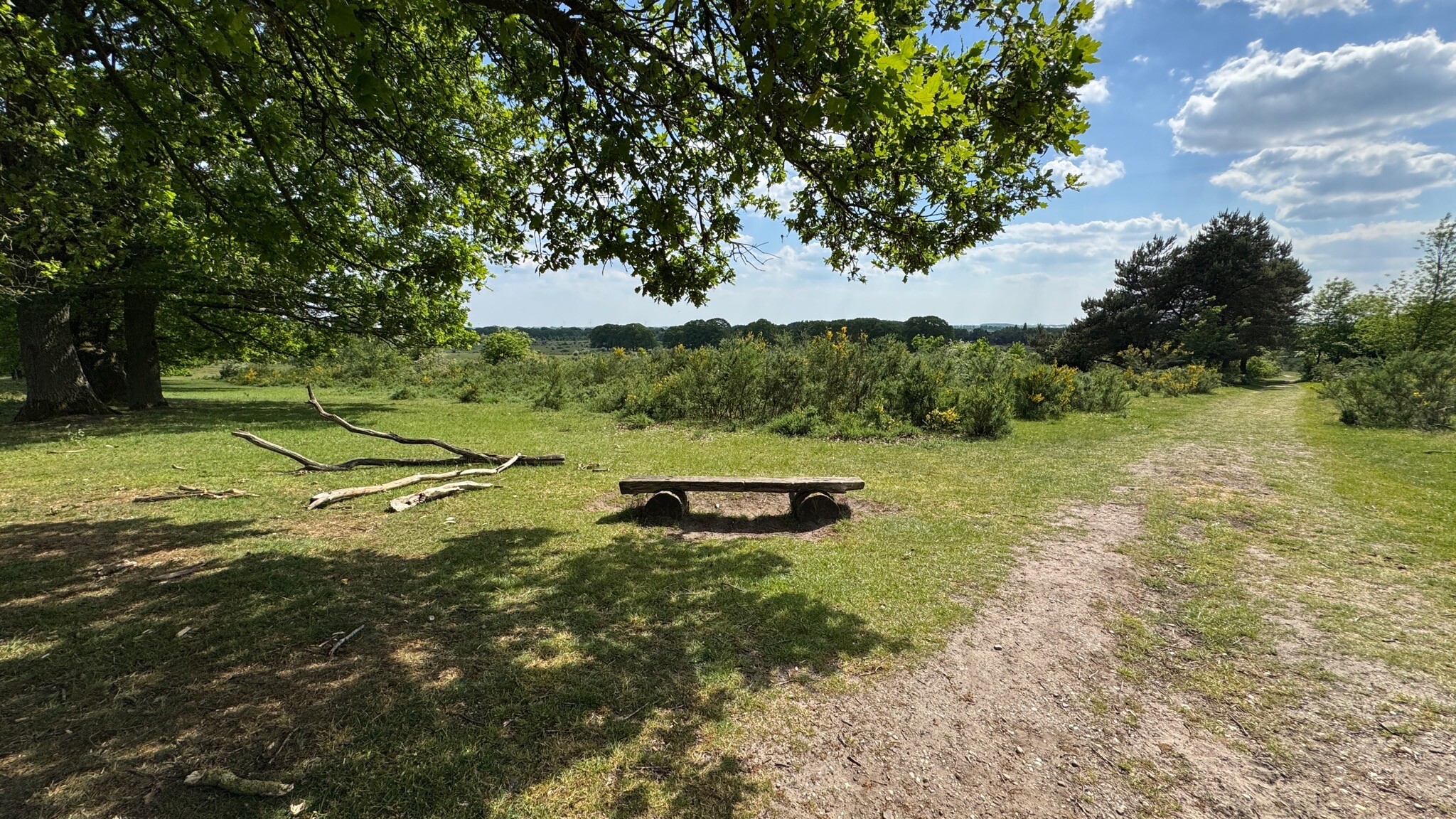 Plantage Willem III en de brug bij Kwintelooyen