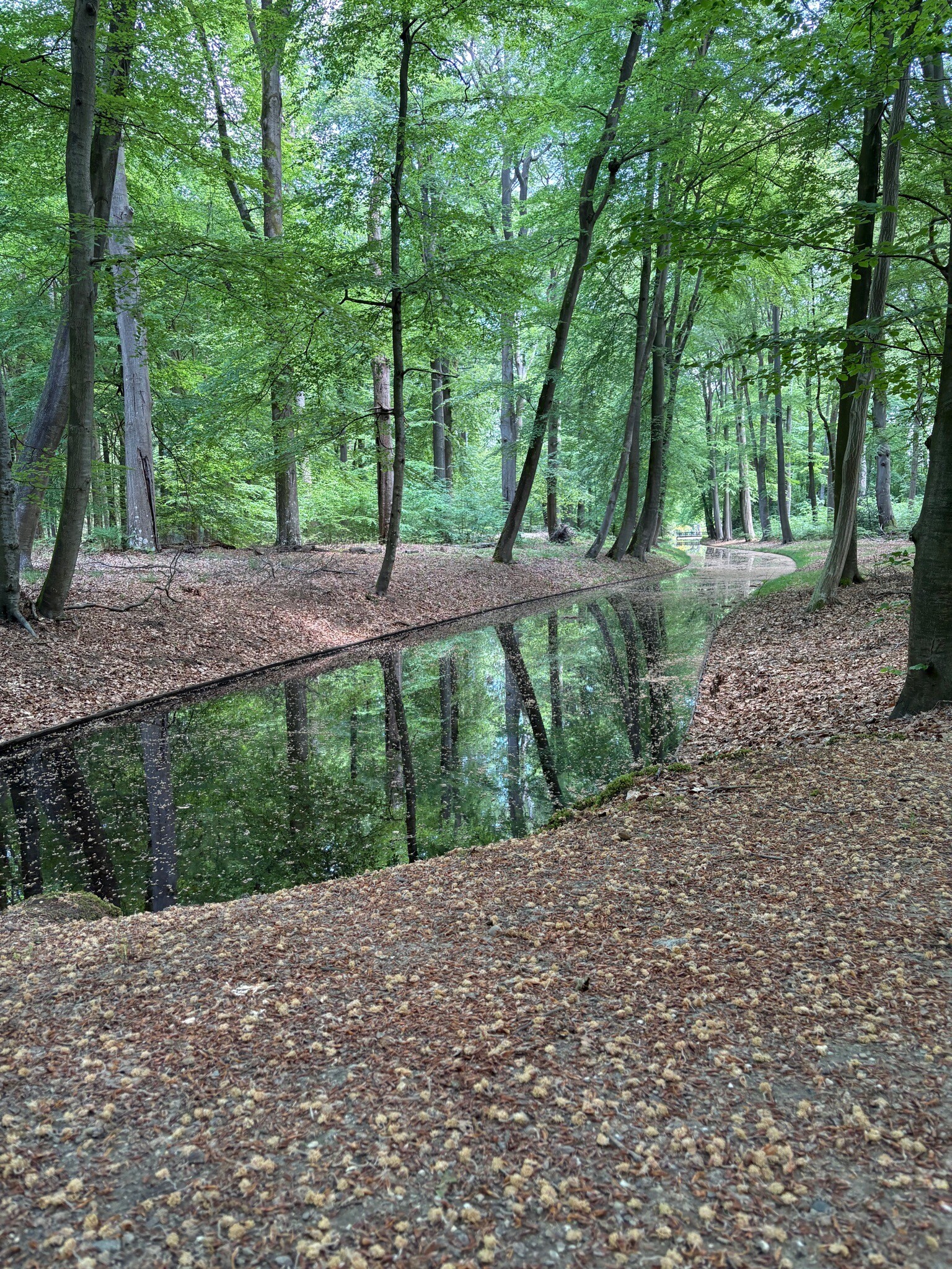 Kroondomein Het Loo zwarte route