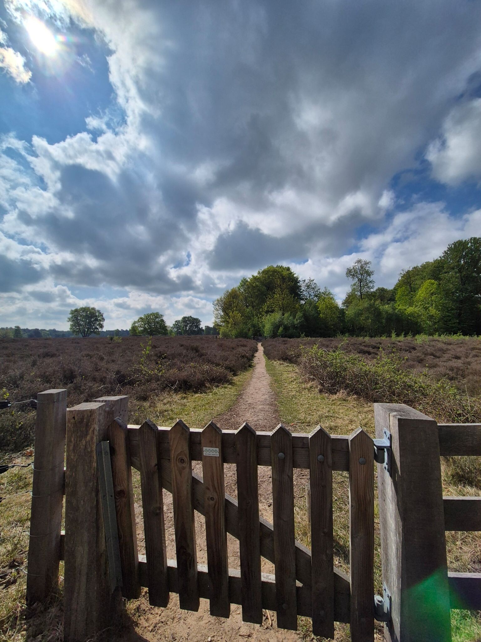 Weg van Vasse