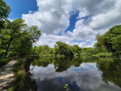Weg van Vasse