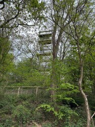 DW4D Dag 4 - 10km - 2026