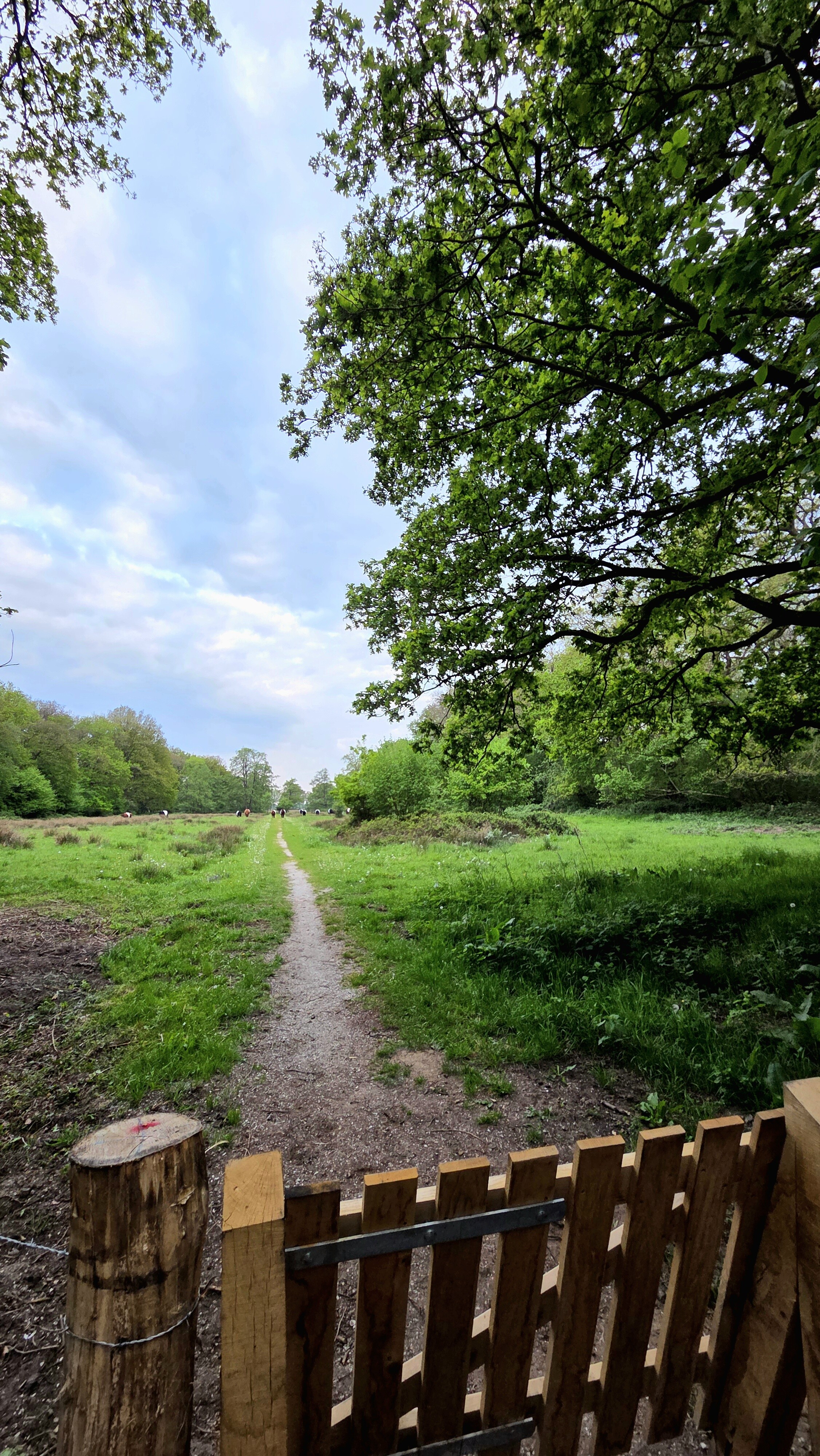 Boomweideroute Dal van Ruiten Aa