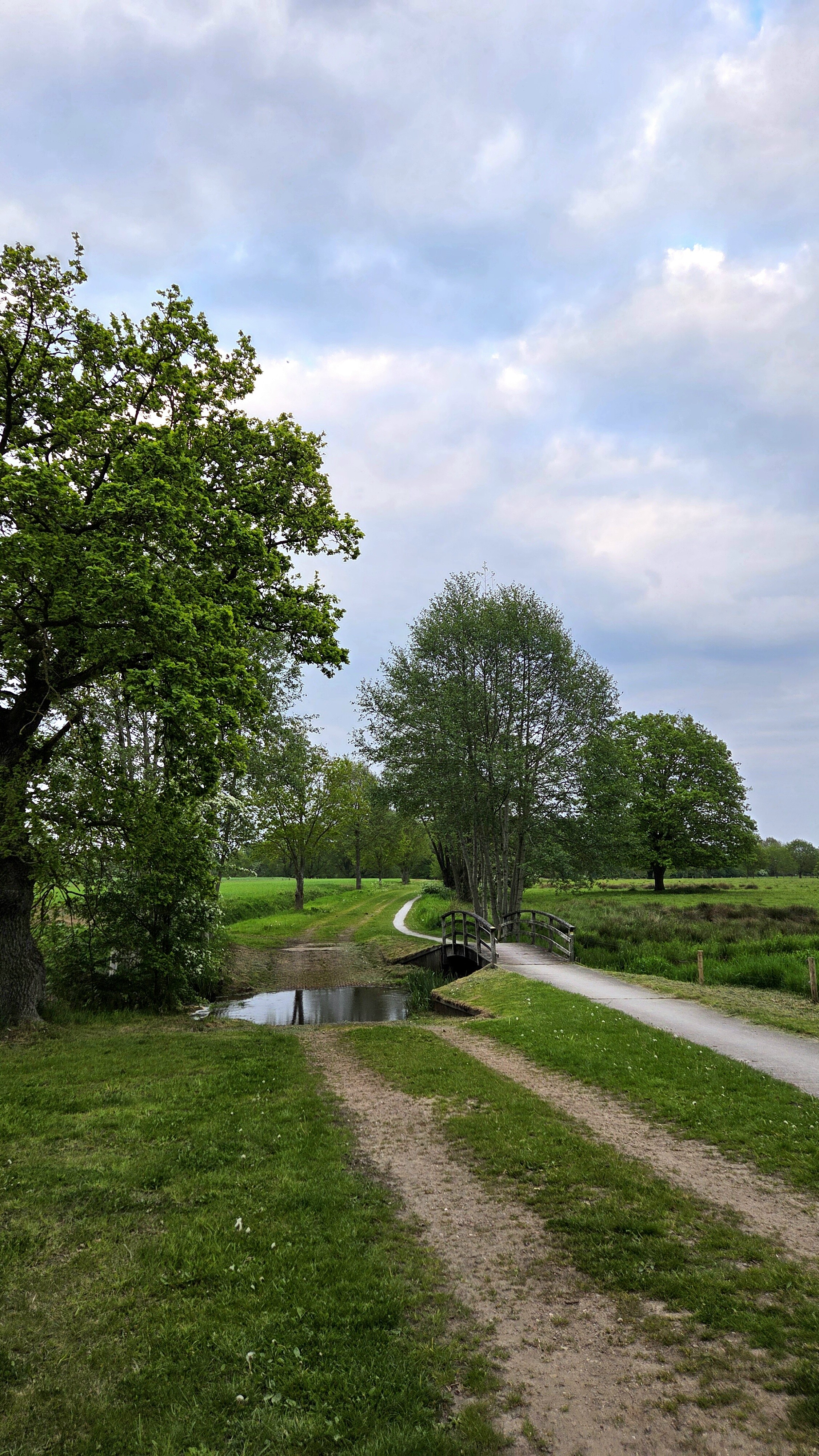 Boomweideroute Dal van Ruinen Aa