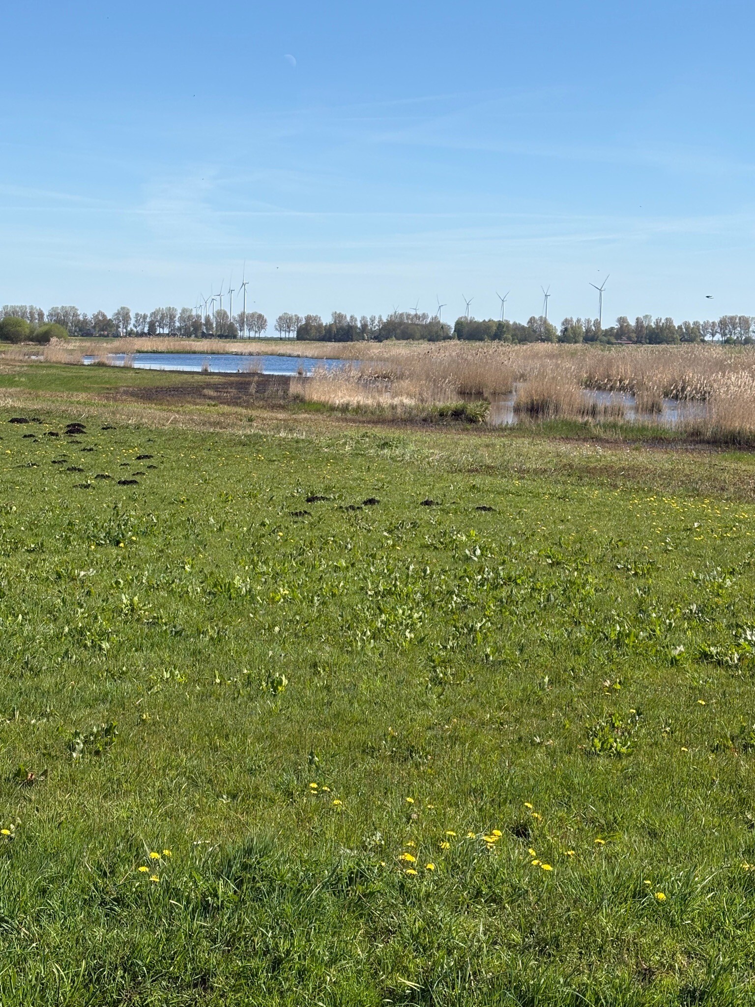 DW4D Dag 3 - 20km - 2026
