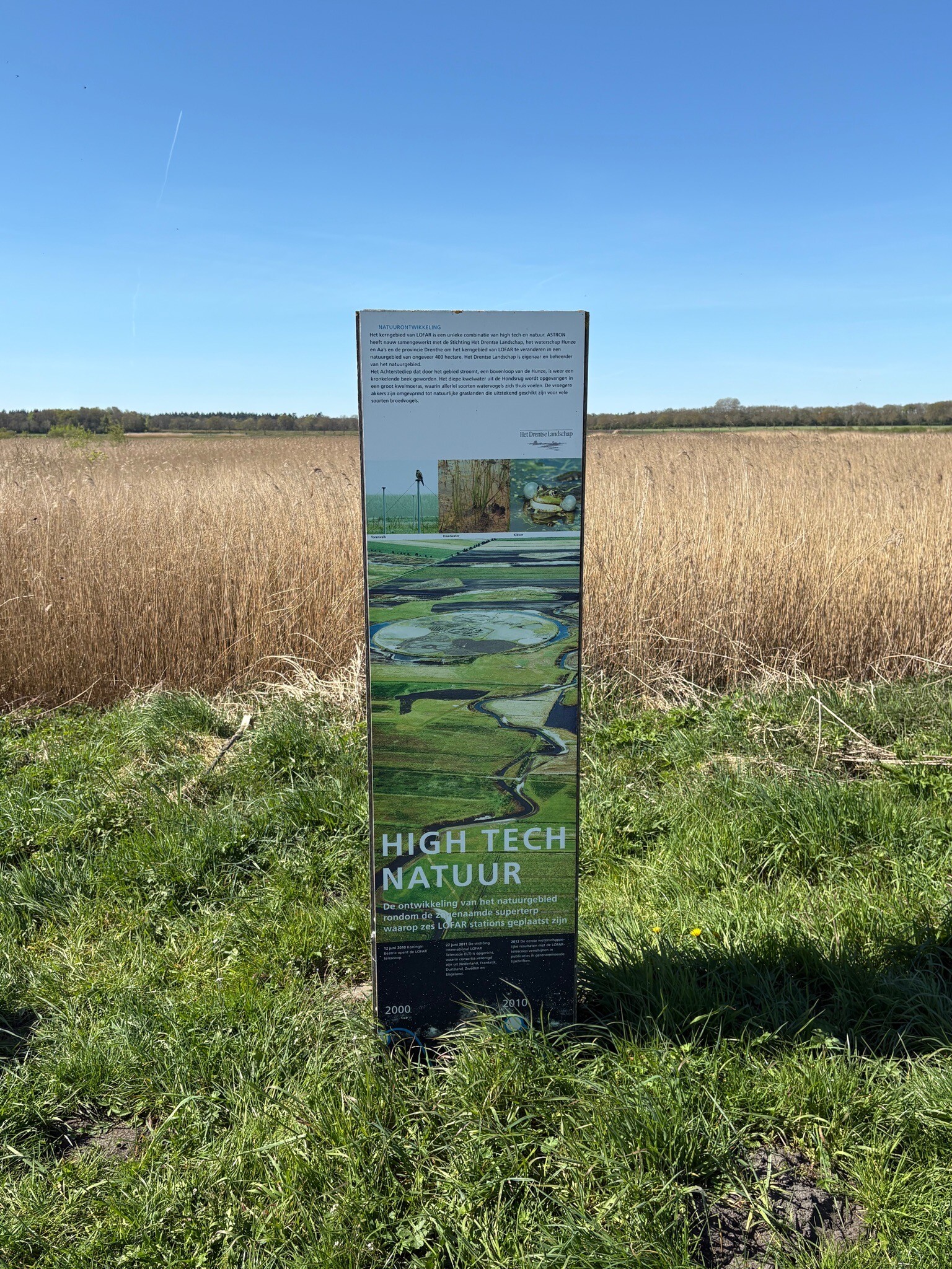 Ees LOFAR
