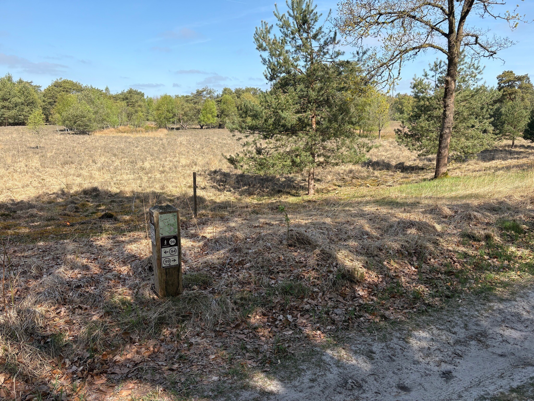 DW4D Dag 4 - 20km - 2026
