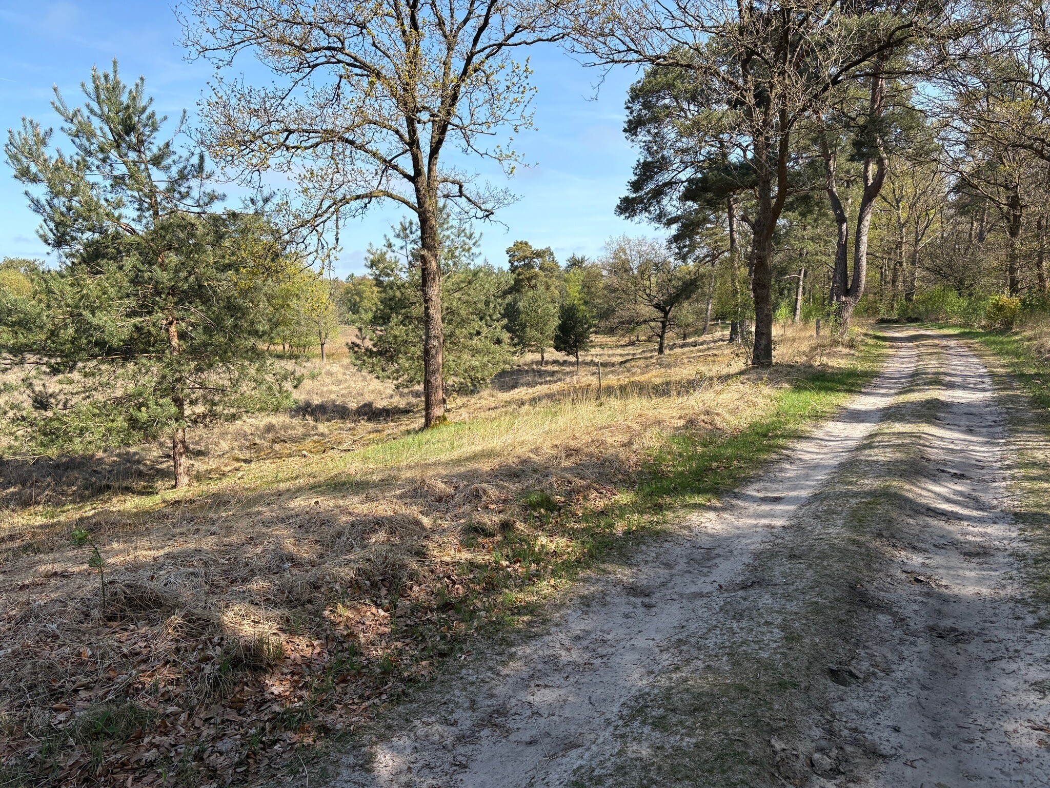 DW4D Dag 4 - 20km - 2026