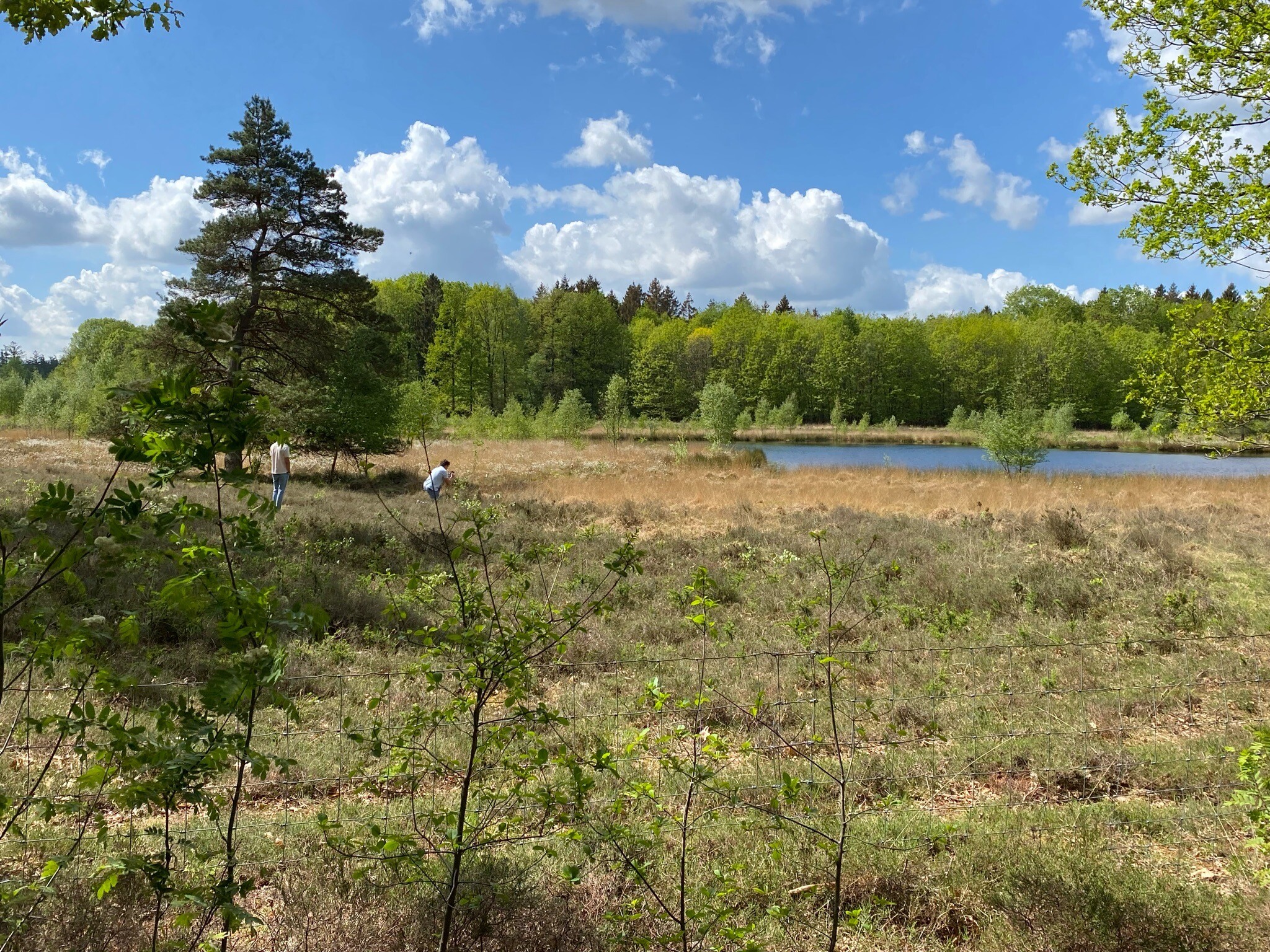Camping Sparrenhof Hunebed Wandelroute