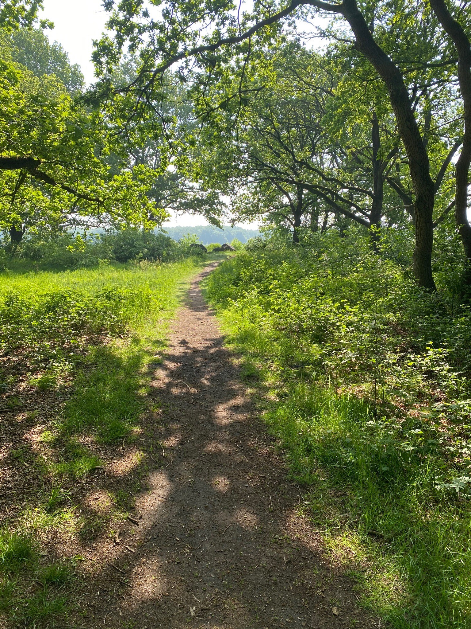 DW4D Dag 1 - 30km - 2026