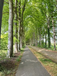 DW4D Dag 1 - 30km - 2026