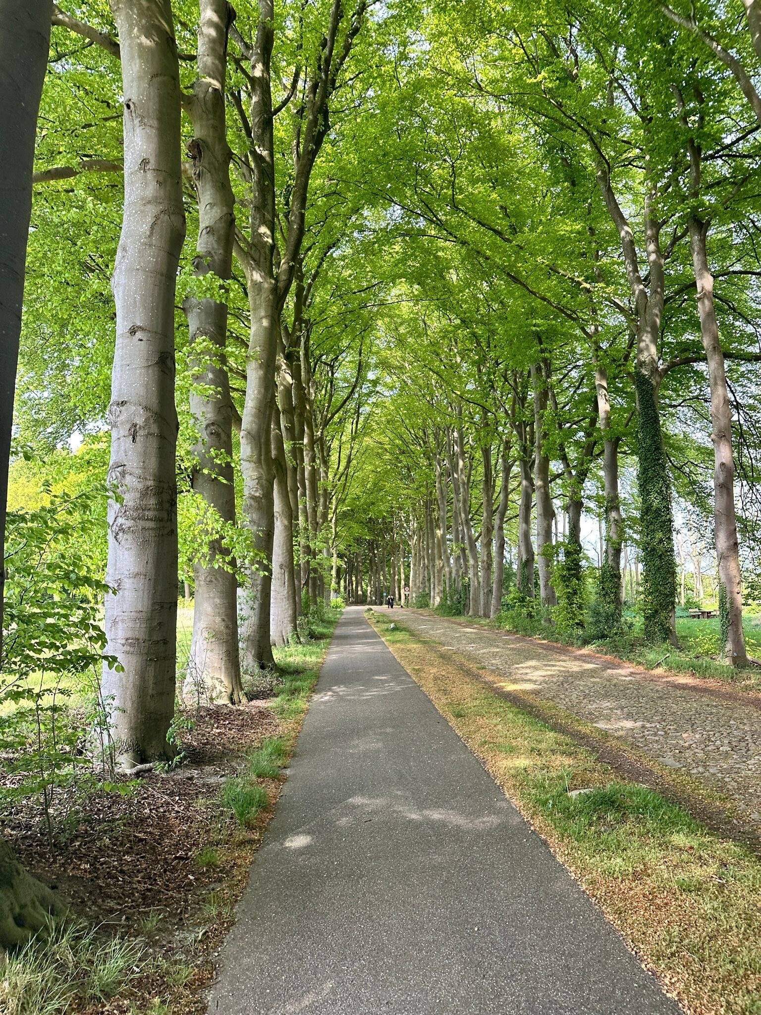 DW4D Dag 1 - 30km - 2026