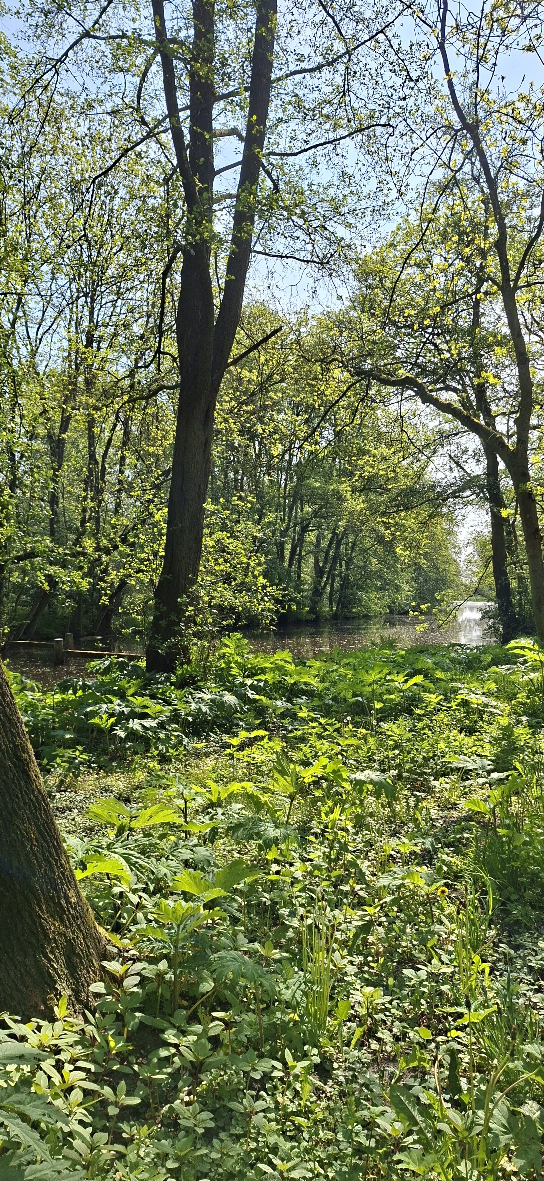Groningen - Zuidlaren · Pieterpad etappe 3