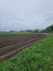 Bijenpad