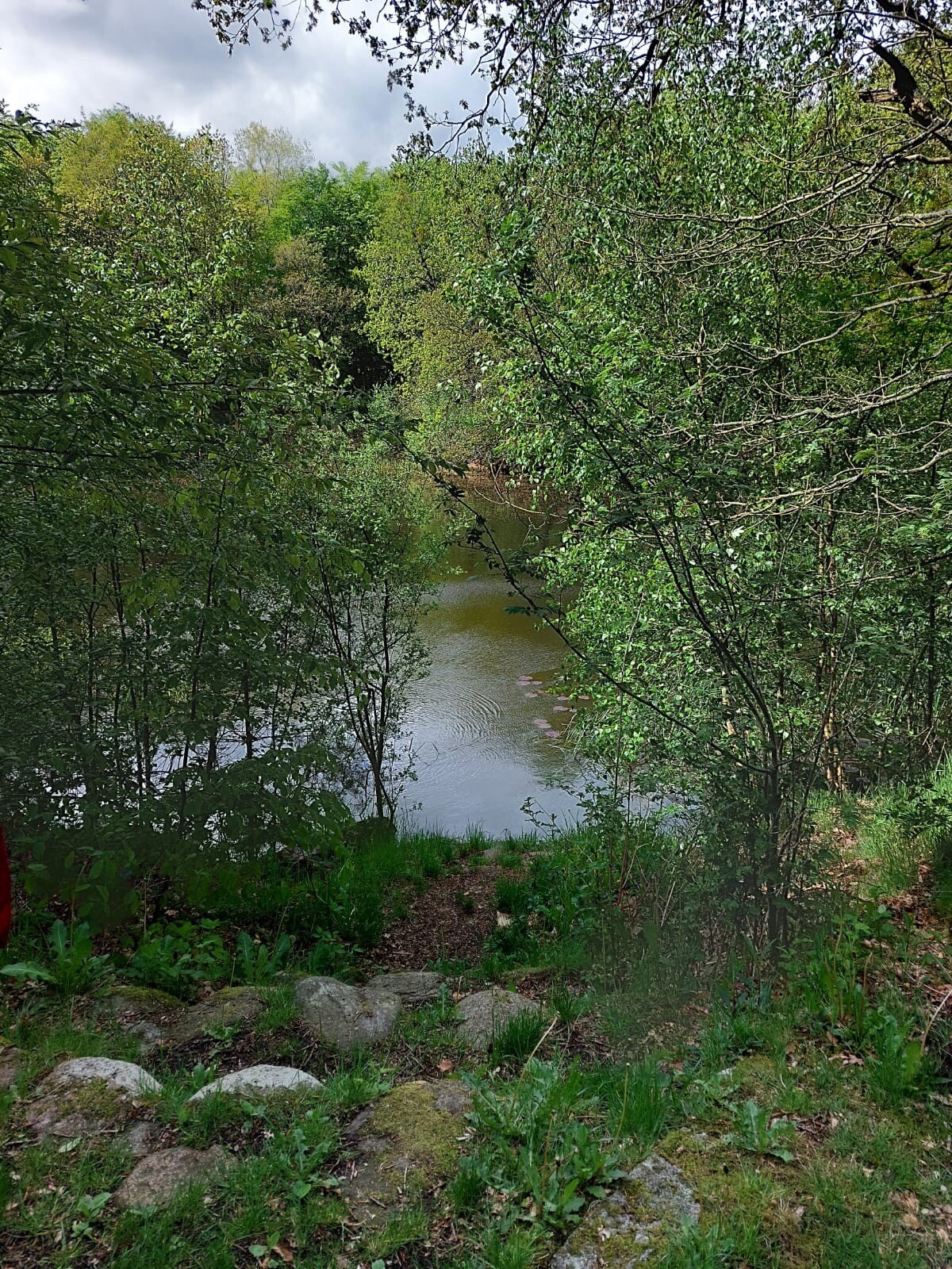 DW4D Dag 4 - 30km - 2026