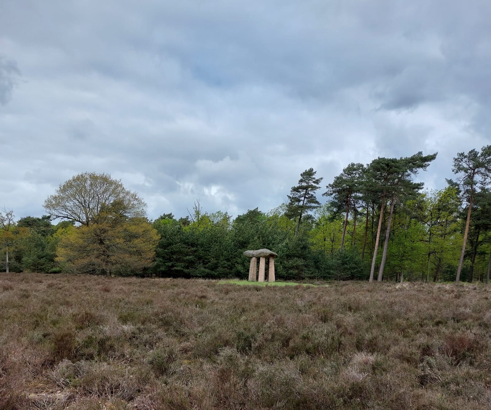DW4D Dag 4 - 30km - 2026