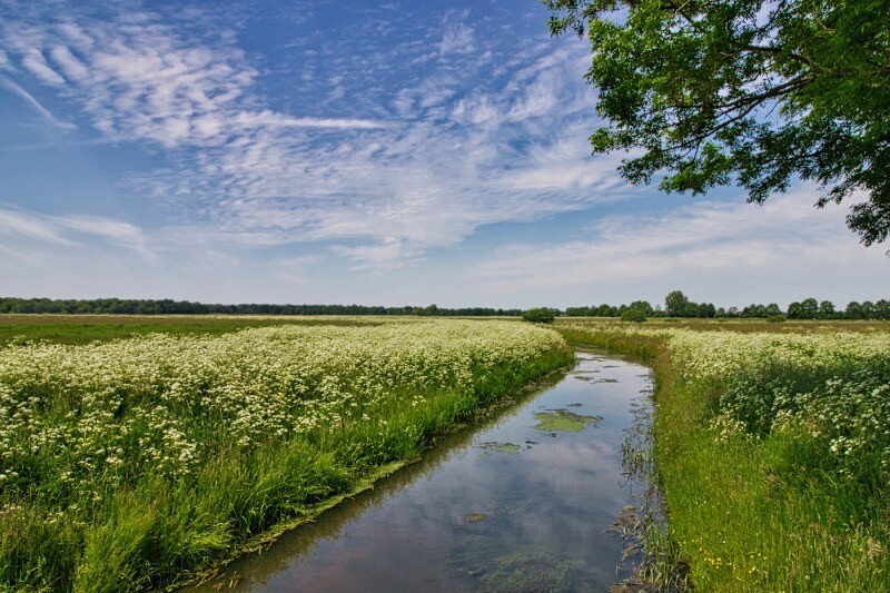 DW4D Dag 3 - 10km - 2026