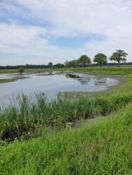 DW4D Dag 3 - 30km - 2026
