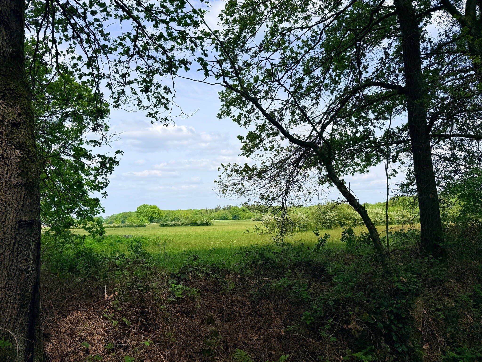 groene Wissel: Brabants Boerenland Uden 385