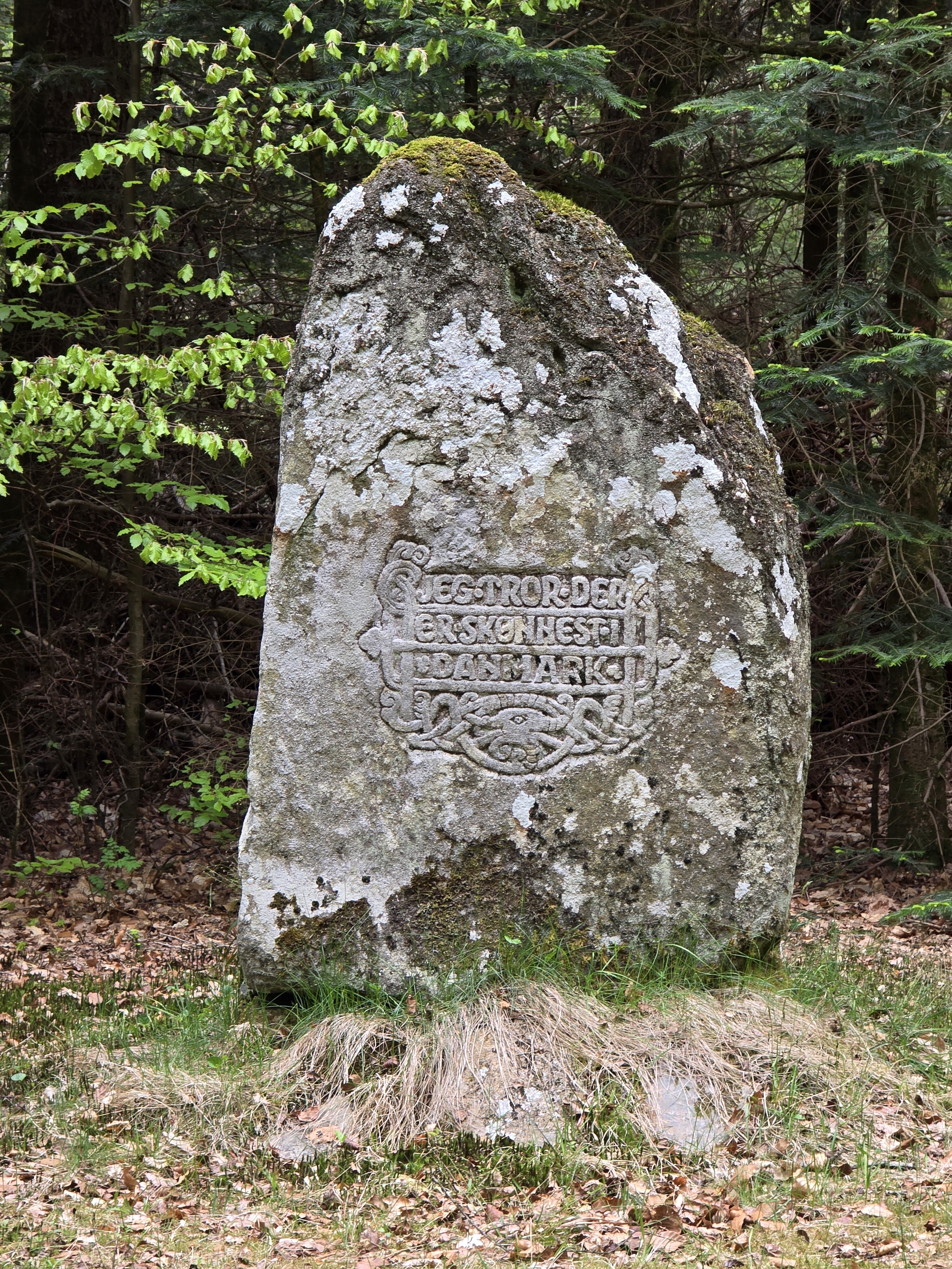 Tirsbjerg Plantage