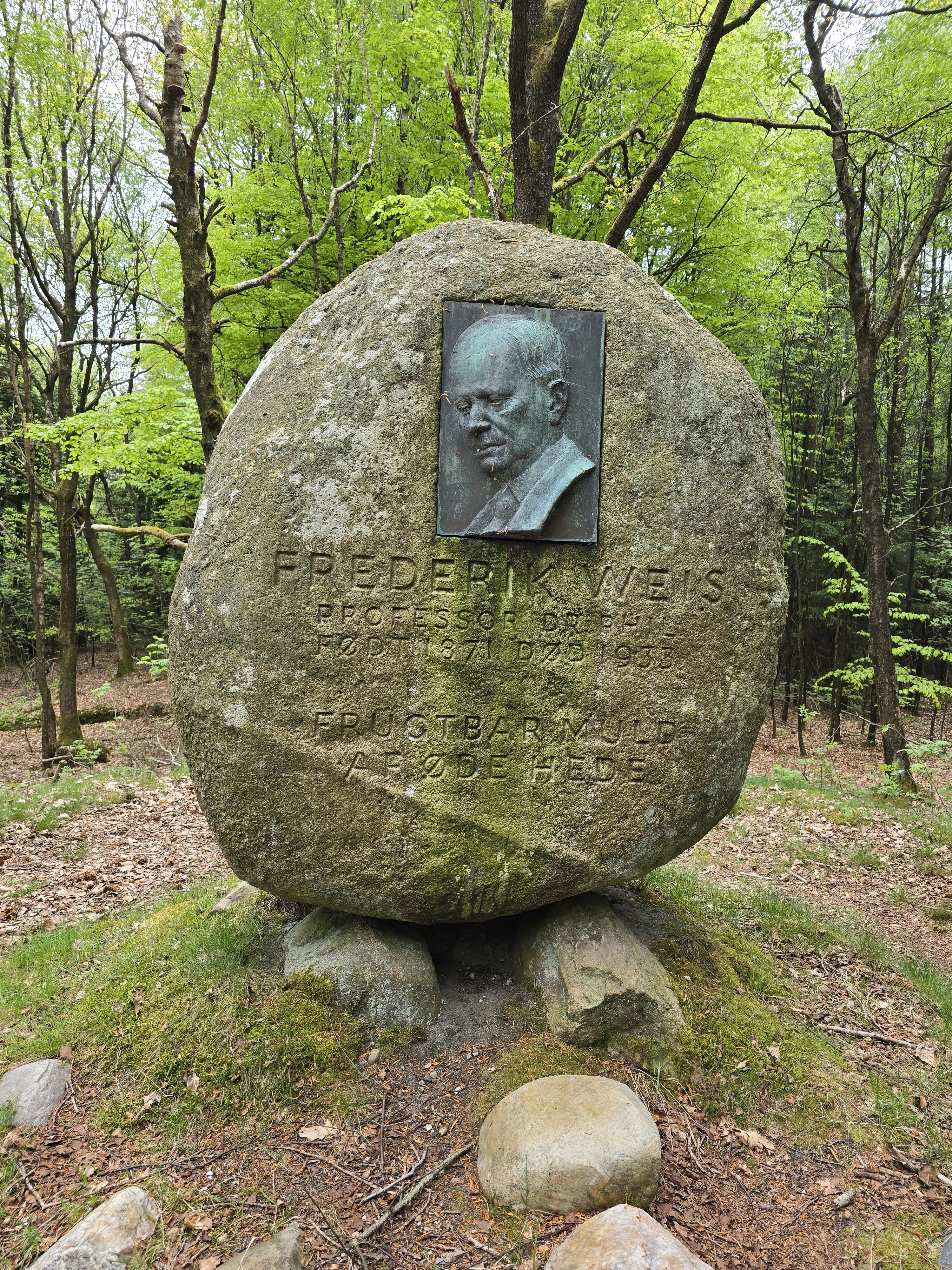 Tirsbjerg Plantage