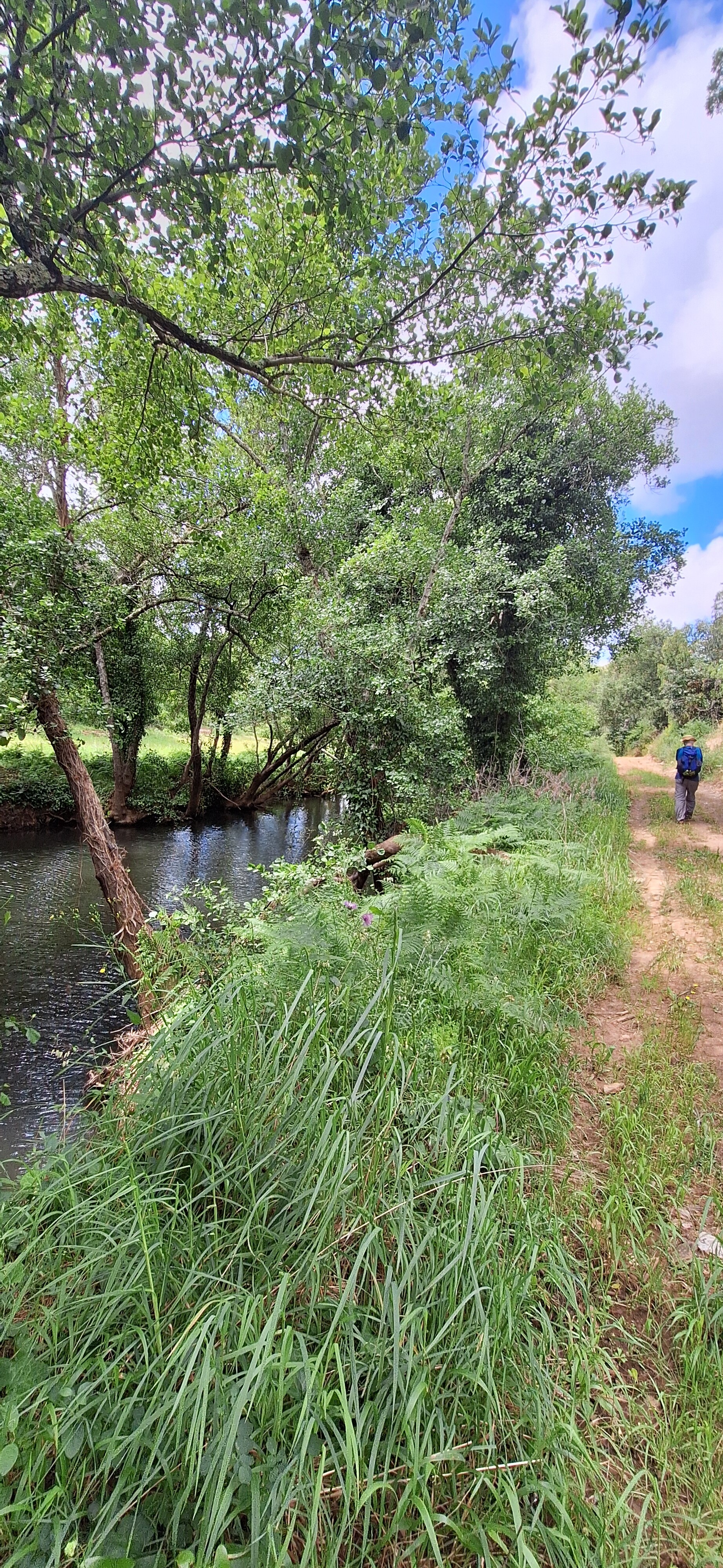 Dag 4. Zambuejera - Odemira 17km