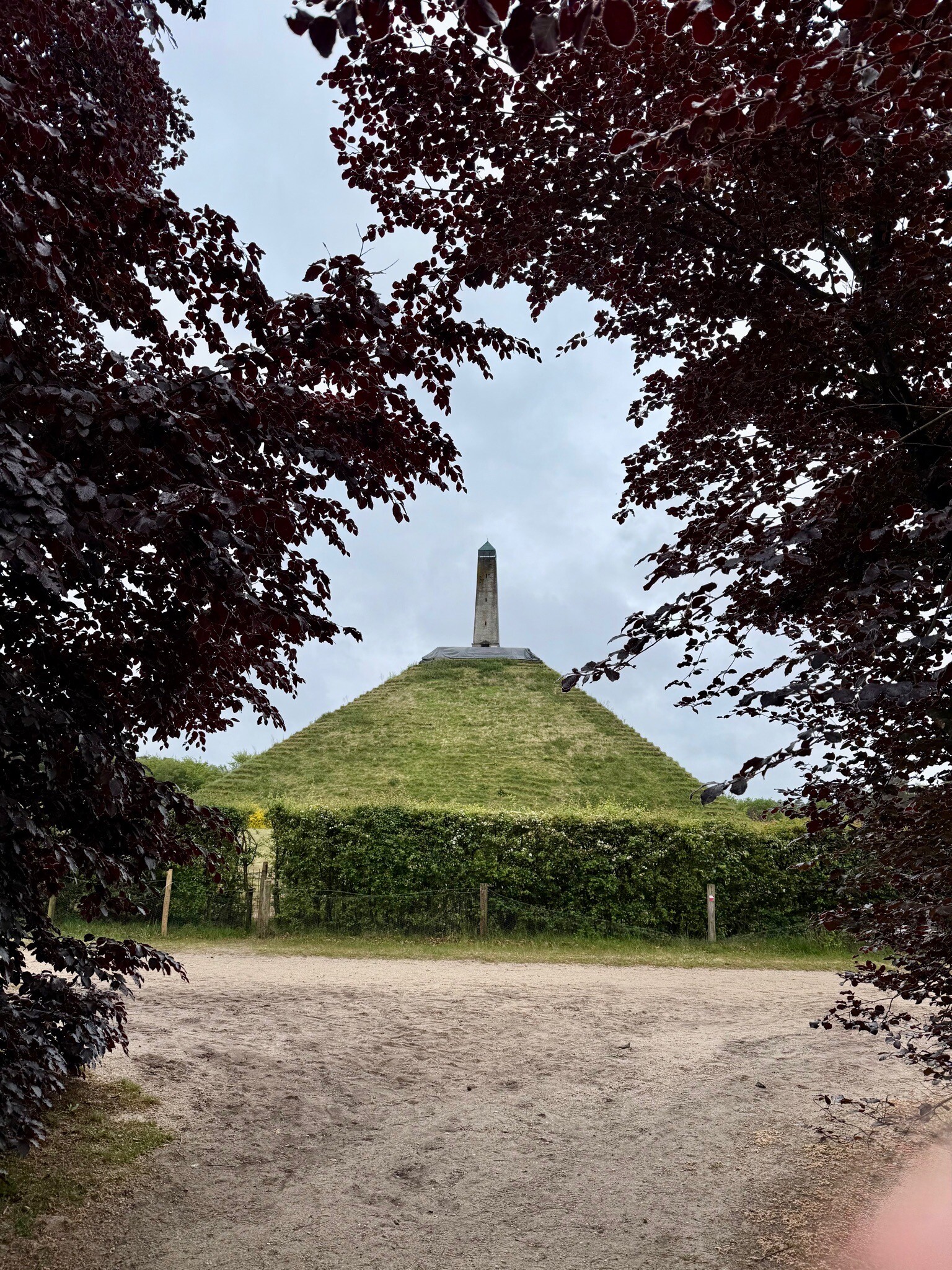 Trekvogelpad