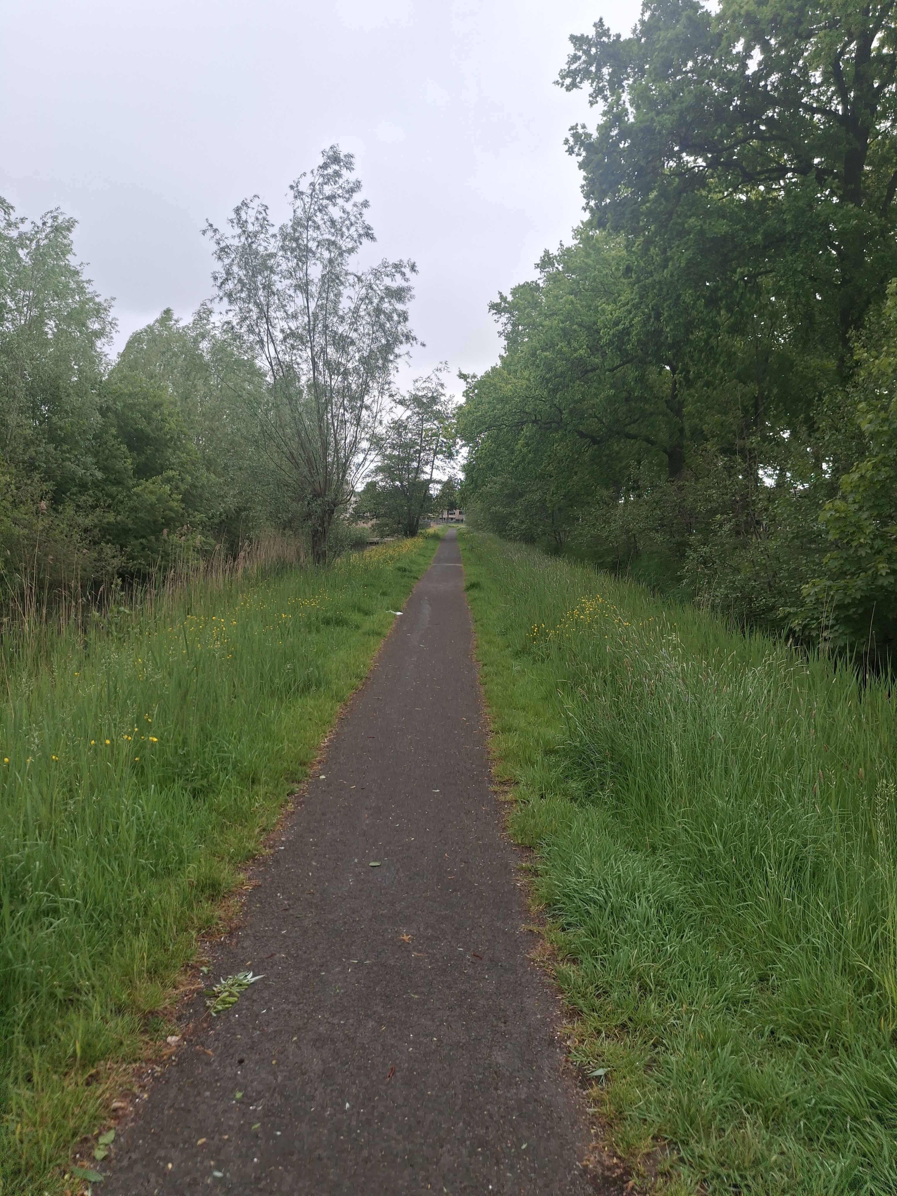 Wandeling vanaf station zwolle