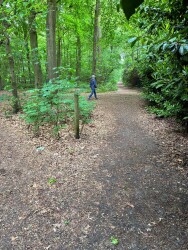 Viersel - Zandhoven
