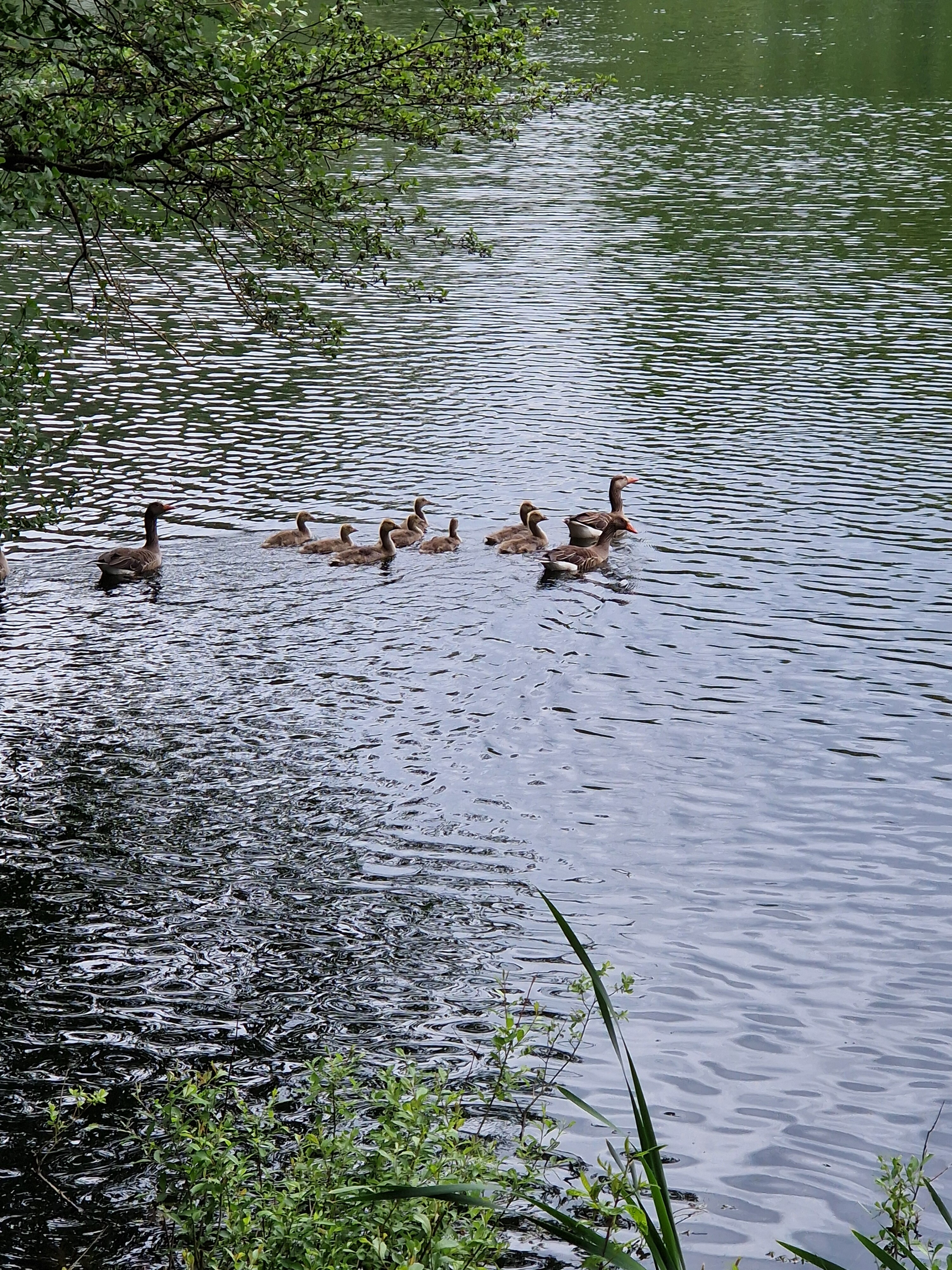 Natuurpad de Leemputten