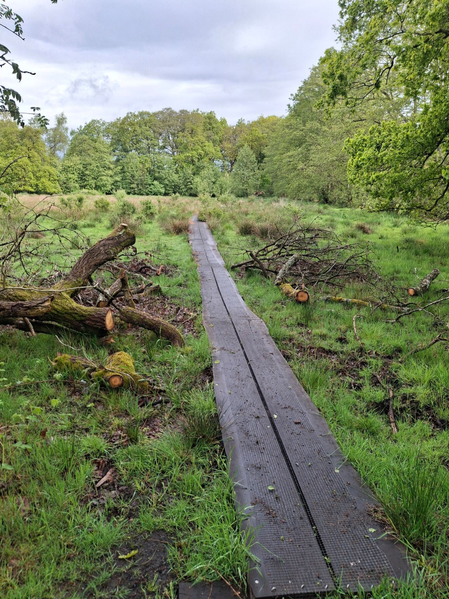 Wandelroute Wolvenspoor