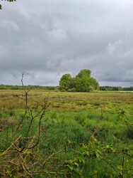 Wandelroute Wolvenspoor
