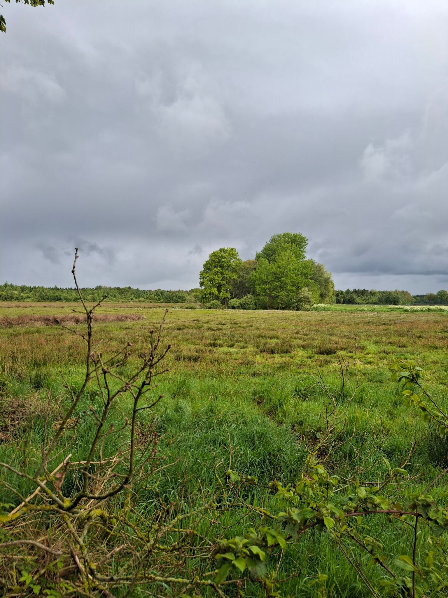 Wandelroute Wolvenspoor