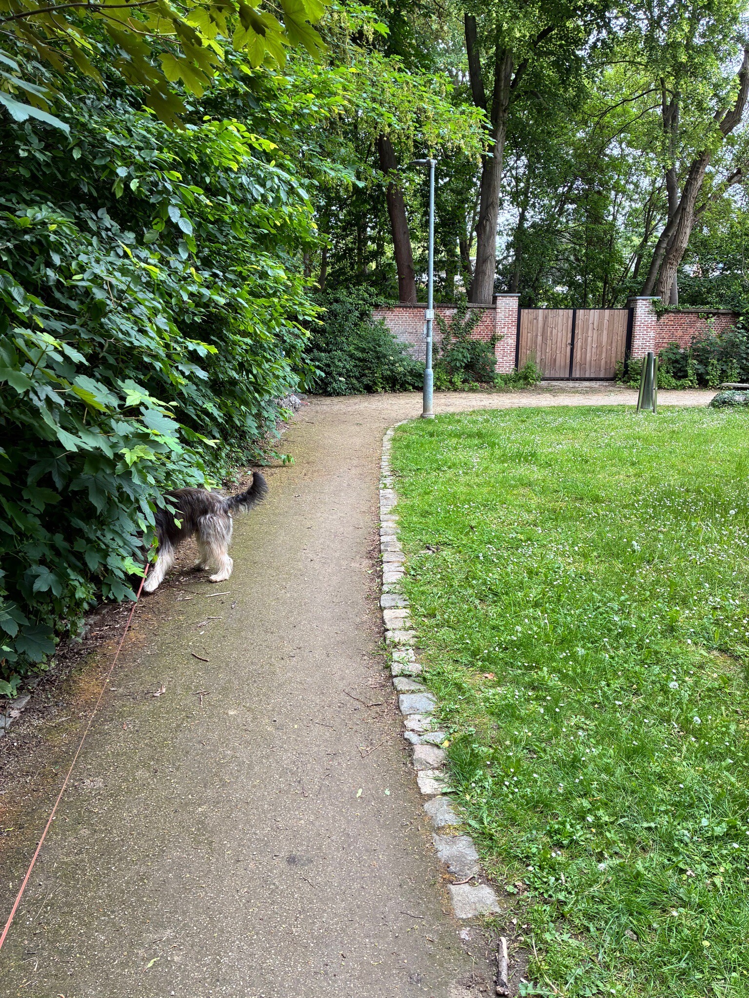 Wandelen met de Leo 🐕 VS