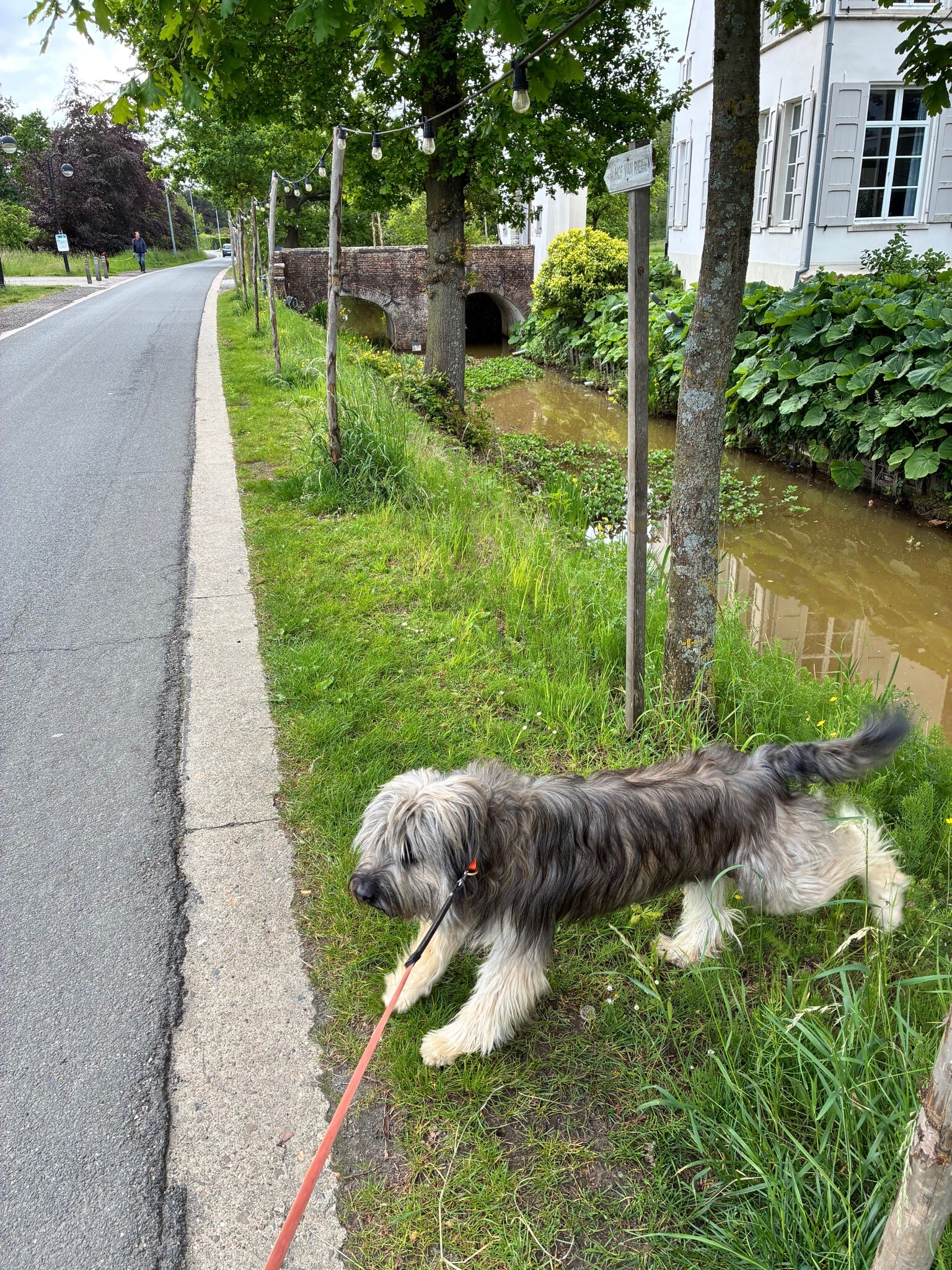 Wandelen met de Leo 🐕 VS
