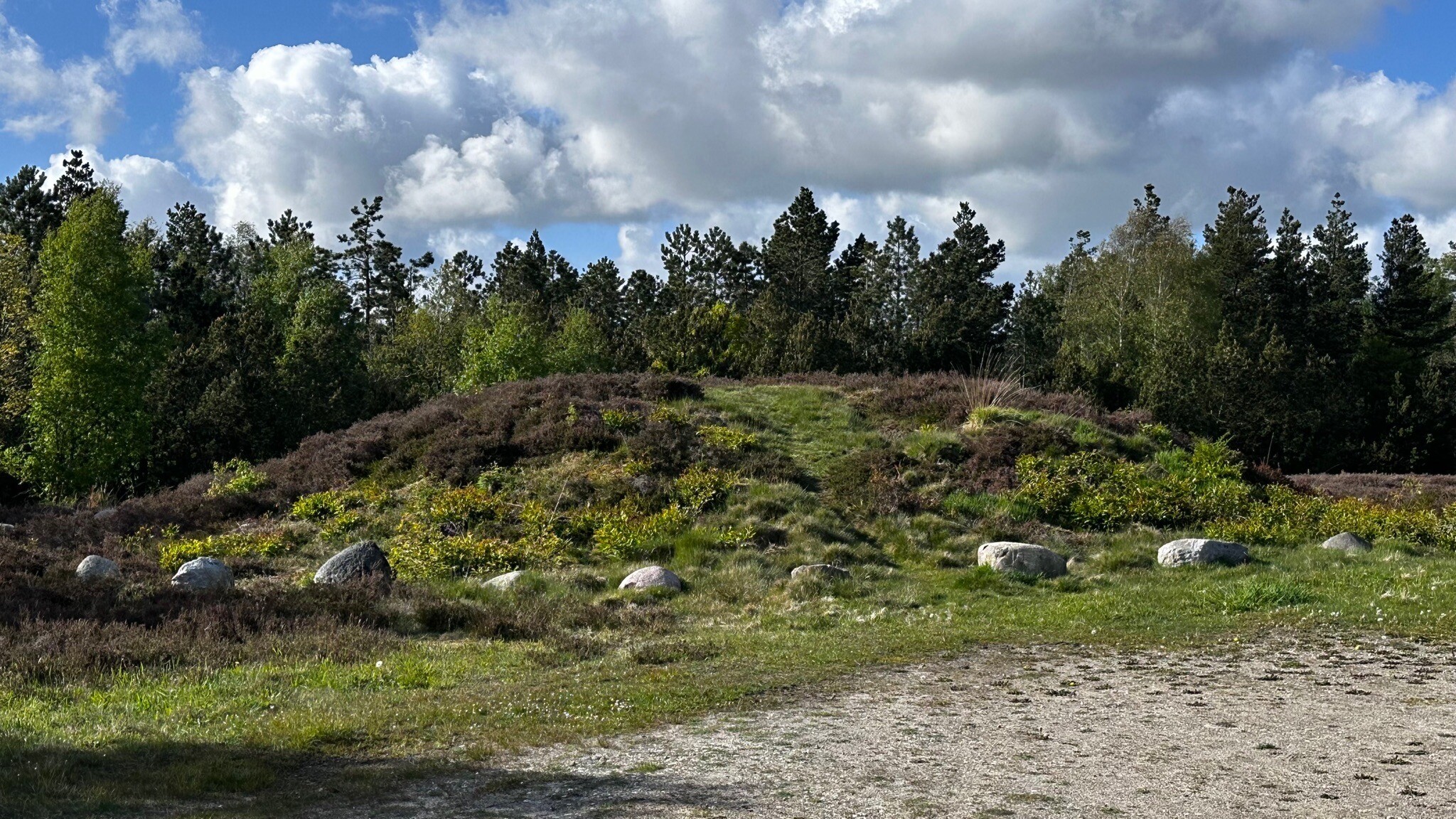 Hartpad bij Marbæk - Esbjerg