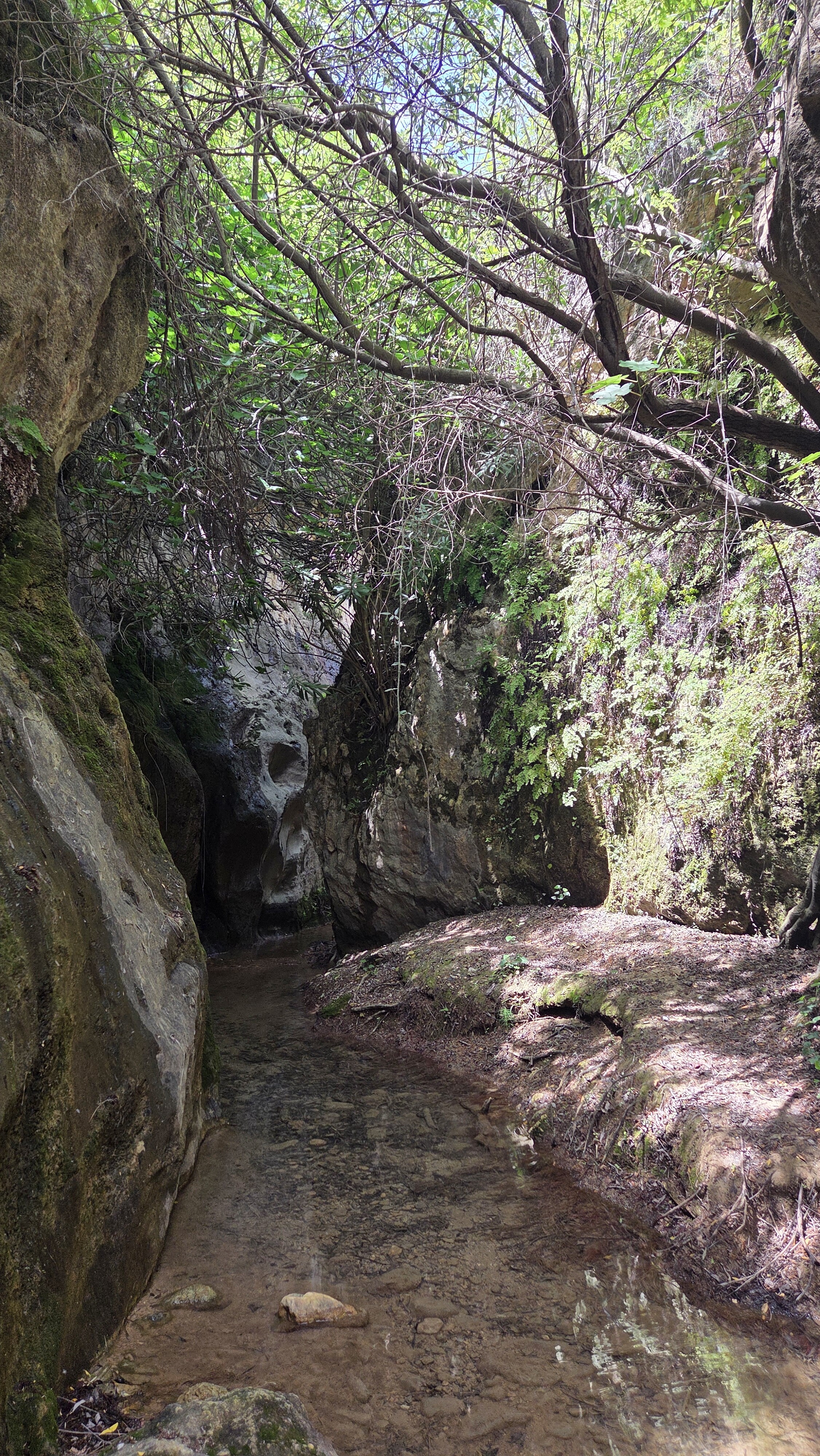 Barranco Luna