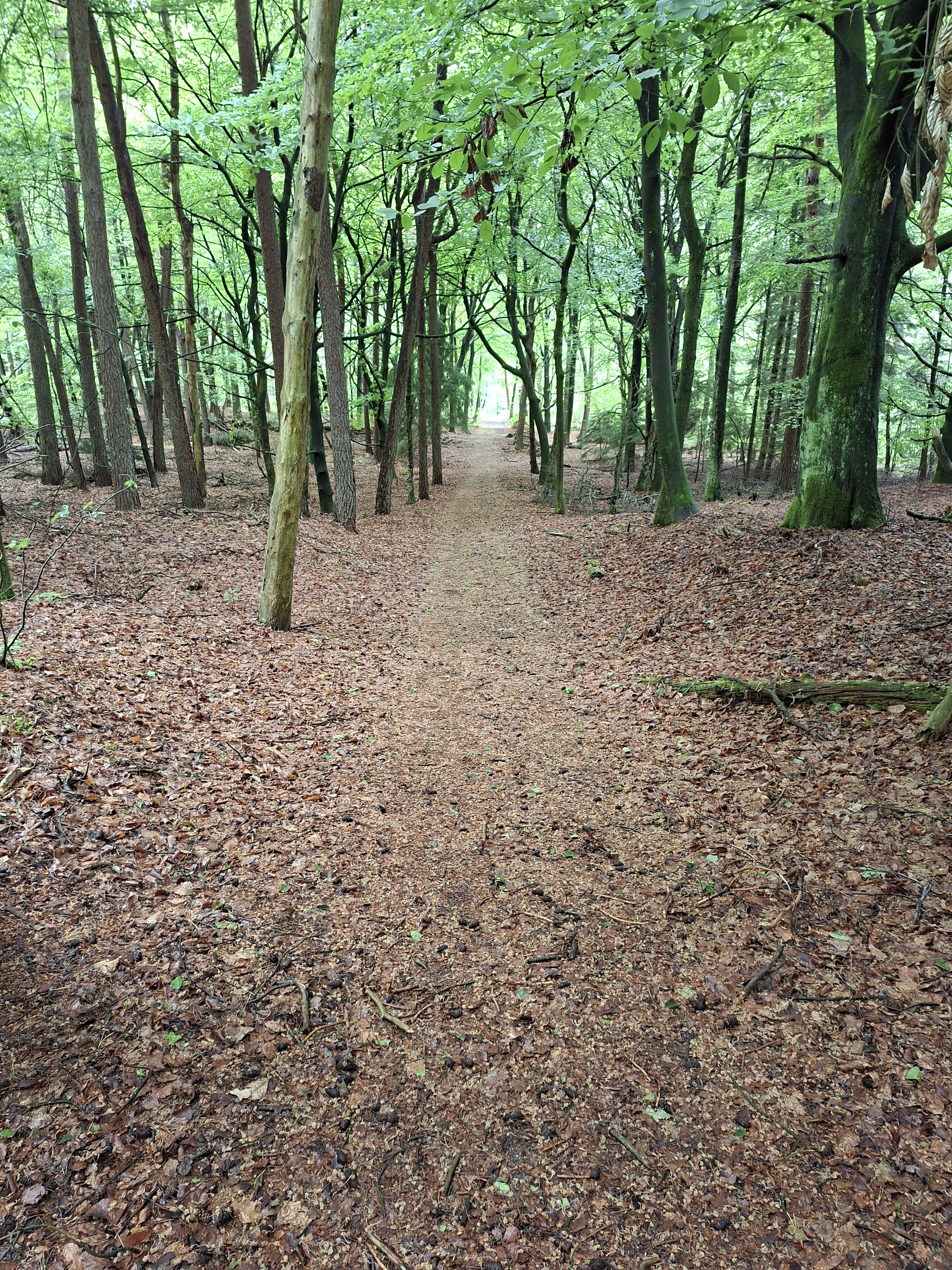 Doorn - Leersum · Utrechtse Mountain Trail etappe 6