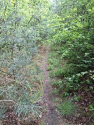 Doorn - Leersum · Utrechtse Mountain Trail etappe 6