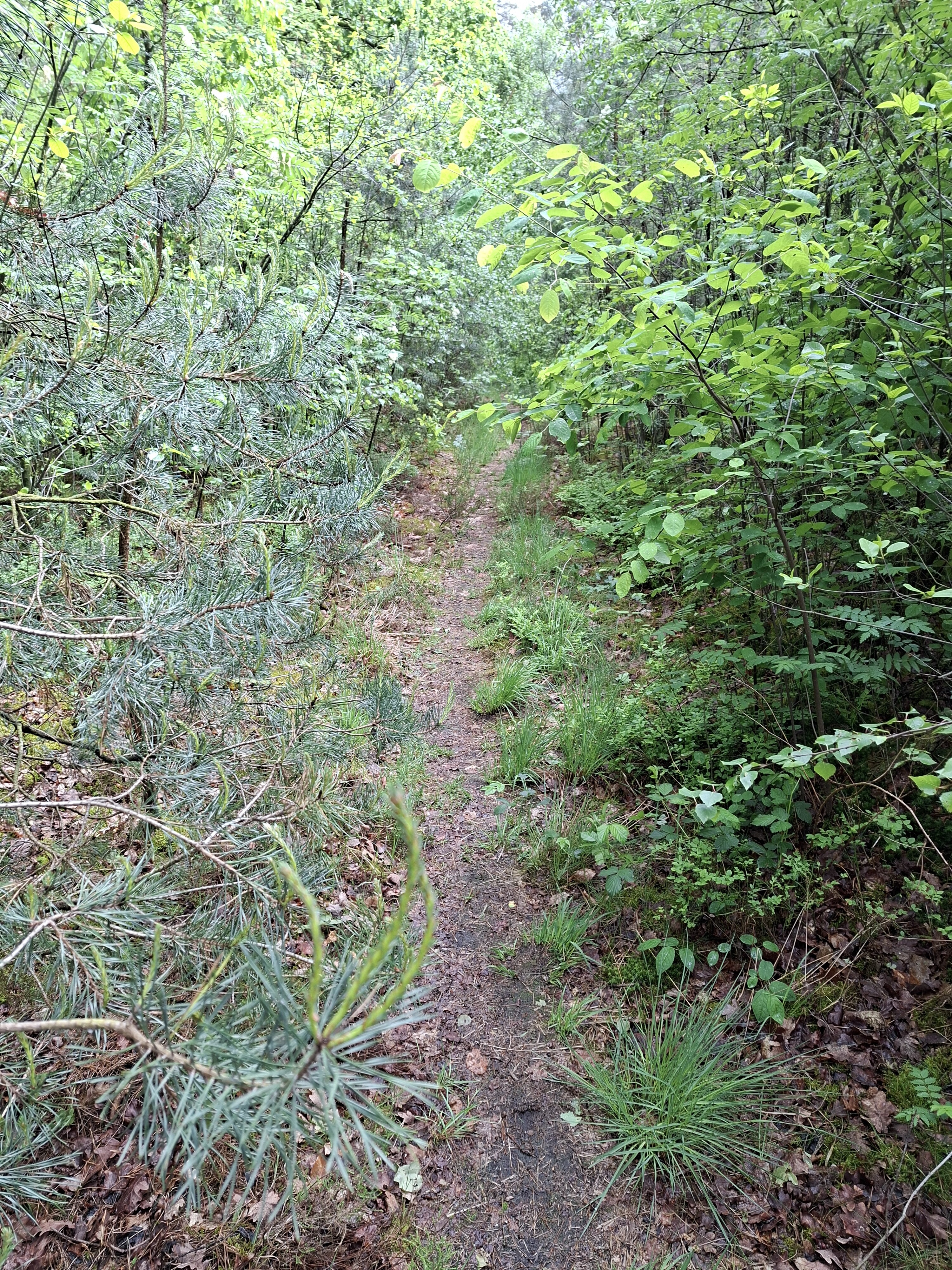 Doorn - Leersum · Utrechtse Mountain Trail etappe 6