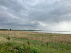 Naar het Leen (Ossendrecht) - Station Rilland-Bath · Oosterscheldepad etappe 13