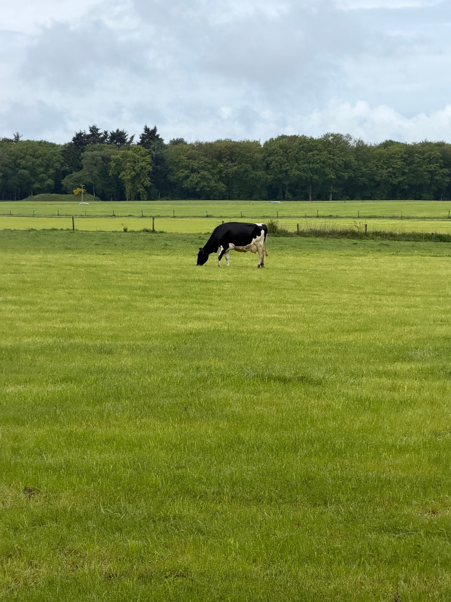 Hardenberg - Ommen · Pieterpad etappe 9