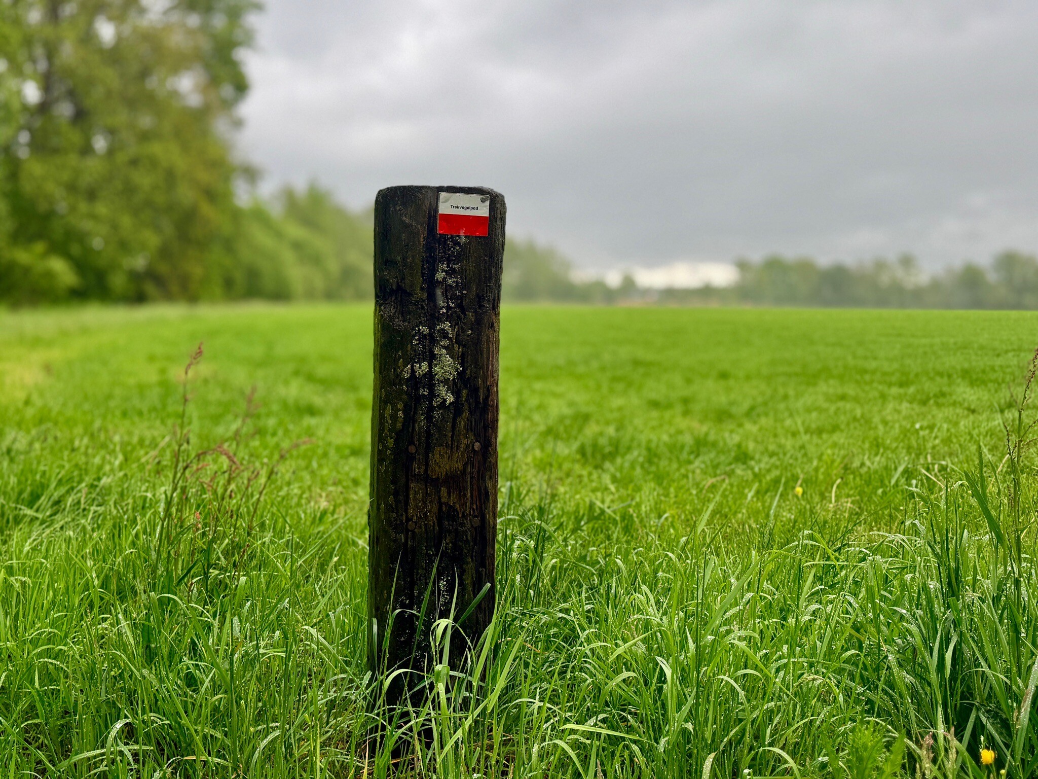 Trekvogelpad