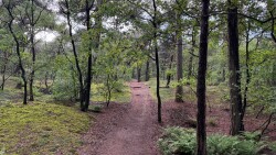 Wandelroute Ullingse Bergen