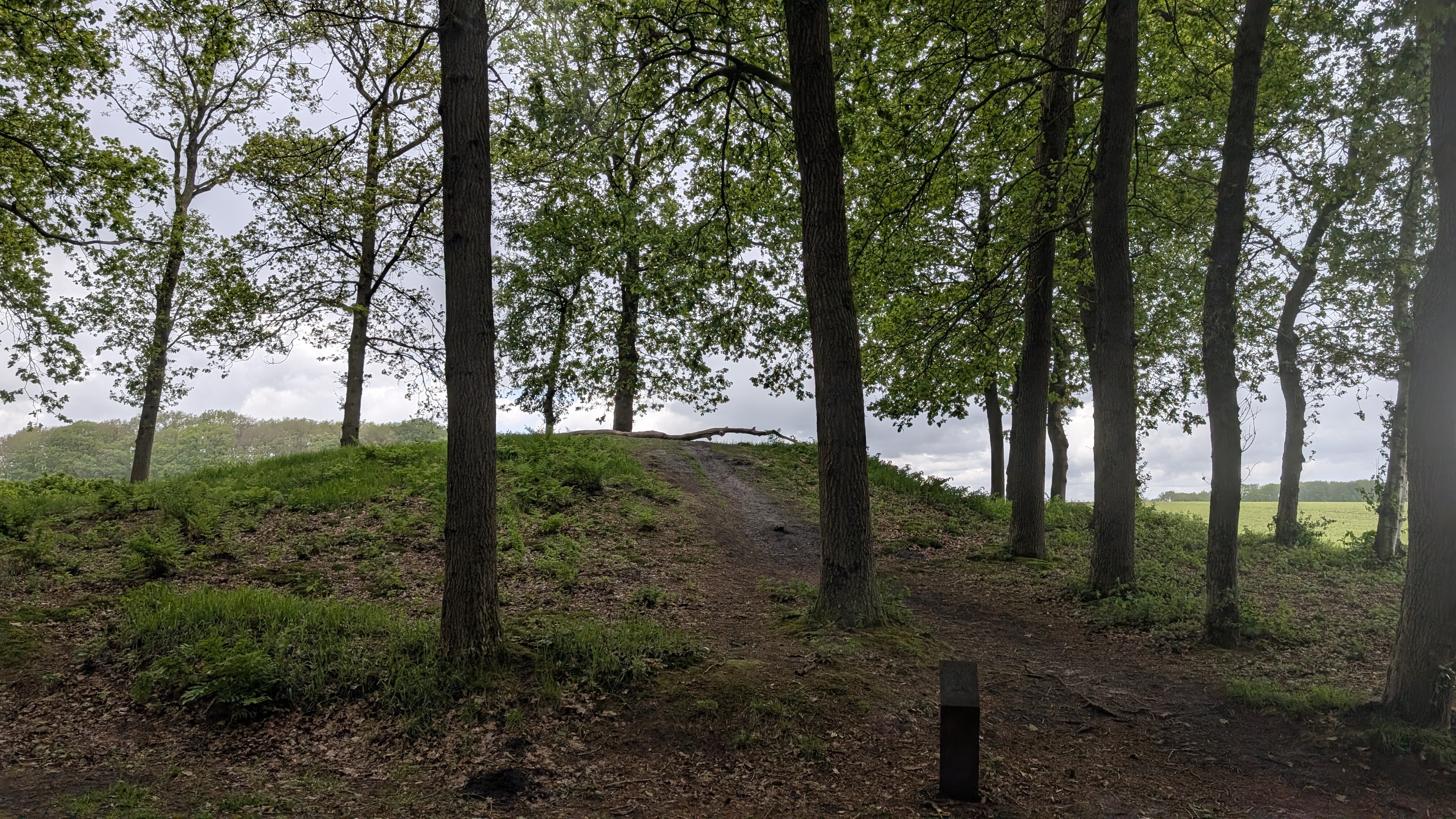 Drentse Wandel Vierdaagse 20 km: dag 1
