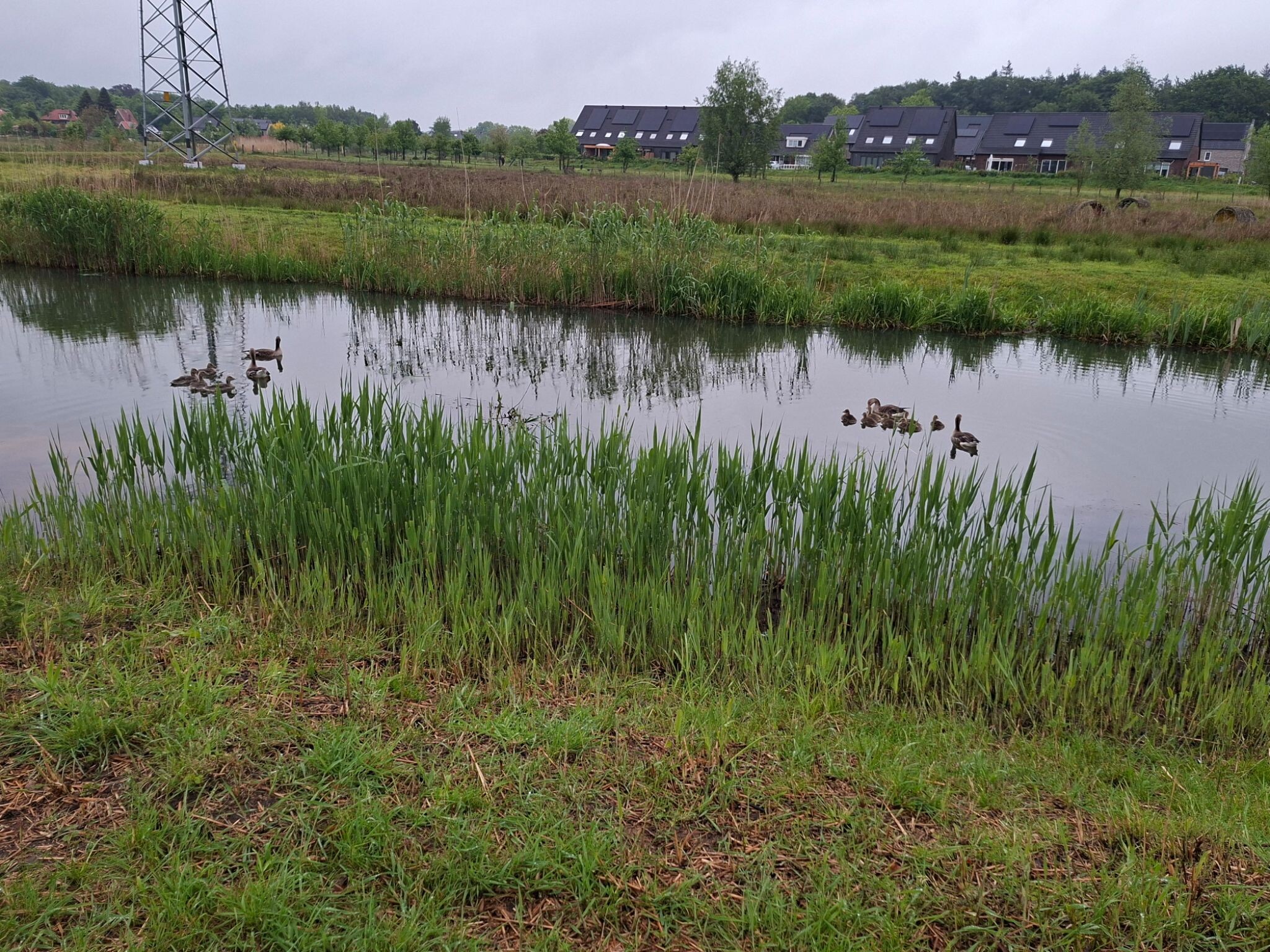 Keizerslanden - Rood